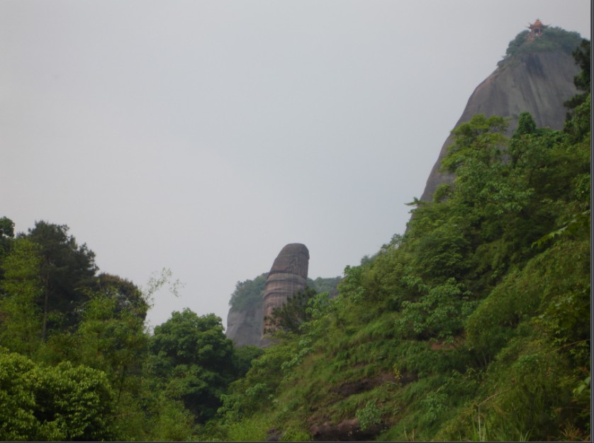 印刷器材